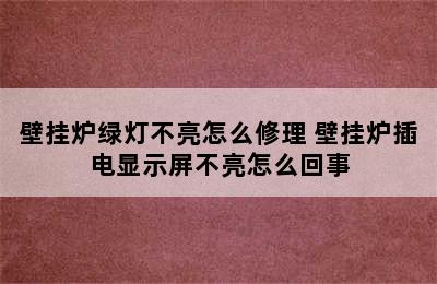 壁挂炉绿灯不亮怎么修理 壁挂炉插电显示屏不亮怎么回事